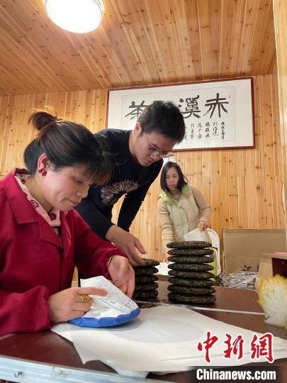 資料圖：杜贏(左二)在整理白茶餅?！×执阂?攝